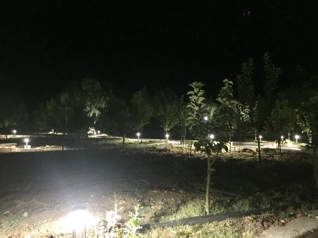 Agriturismo Armienti Villa Toritto Kültér fotó
