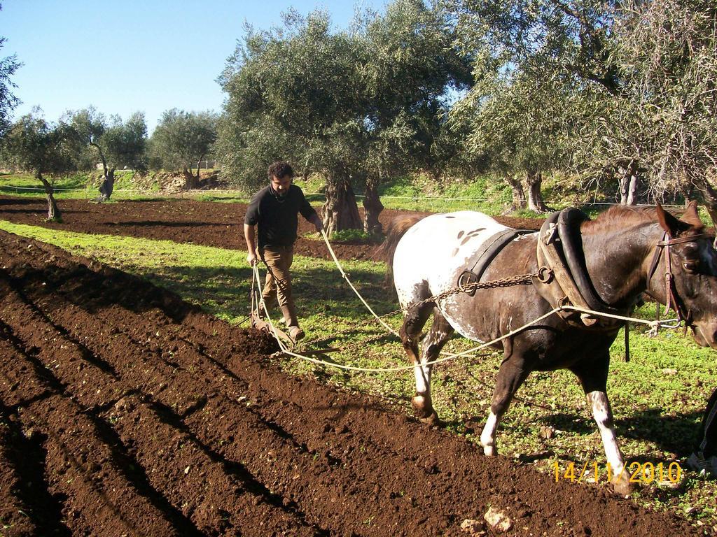 Agriturismo Armienti Villa Toritto Kültér fotó